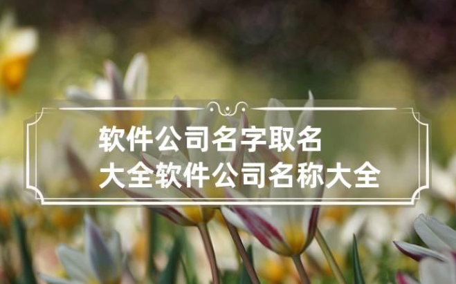 菏泽软件公司名叫什么好听易记